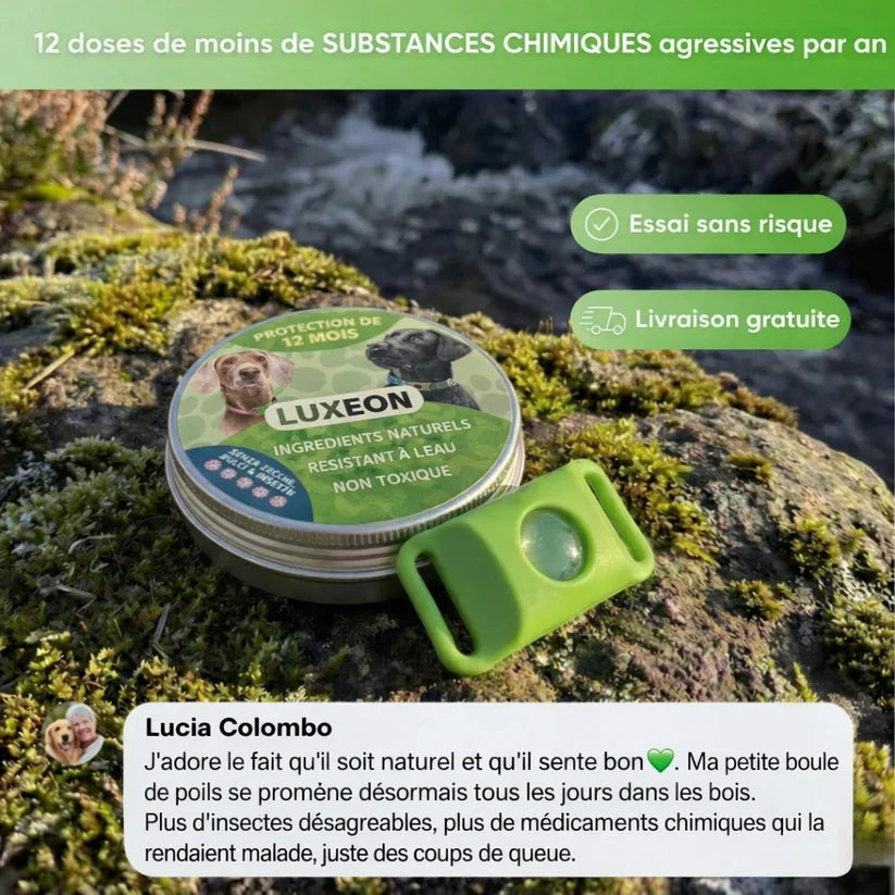 Pendentif Luxeon™ - 12 mois de protection naturelle pour chiens