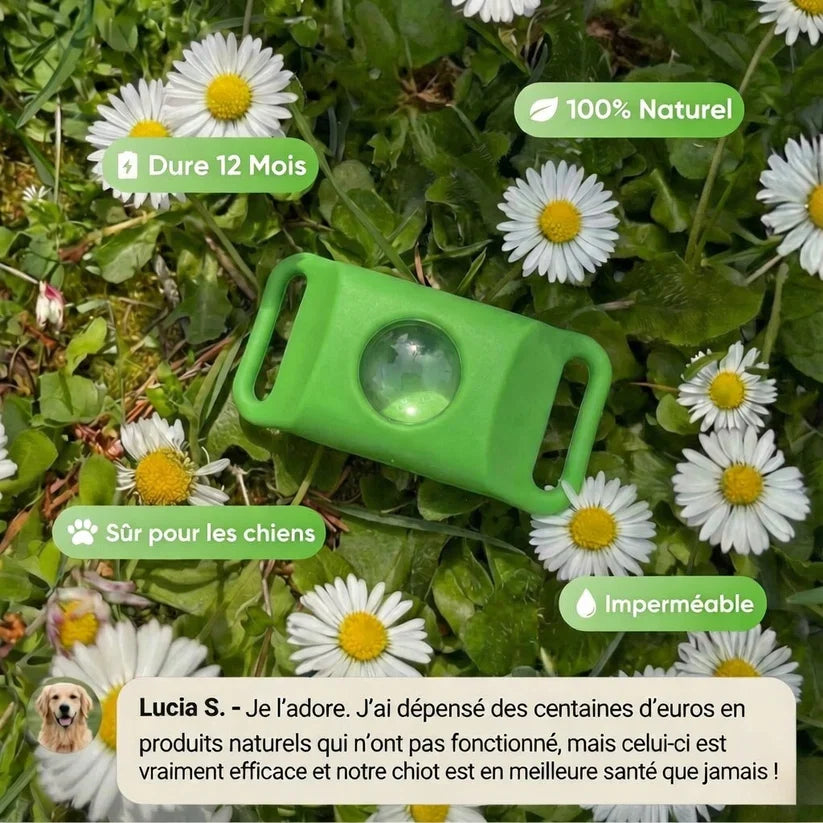 Pendentif Luxeon™ - 12 mois de protection naturelle pour chiens